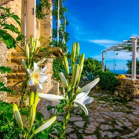 Sea View Dvori Sv. Jurja Villa