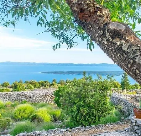 Villa Sea View Dvori Sv. Jurja Jelsa (Hvar)