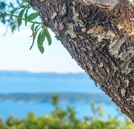 Sea View Dvori Sv. Jurja Villa *
