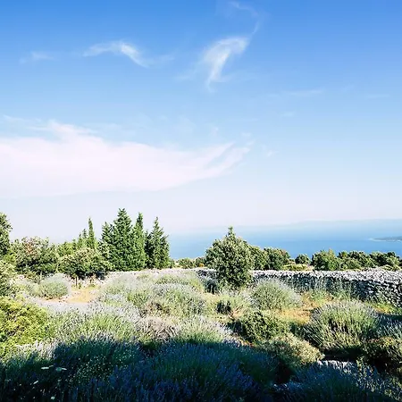 Sea View Dvori Sv. Jurja Villa *