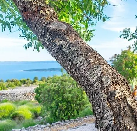 Sea View Dvori Sv. Jurja *